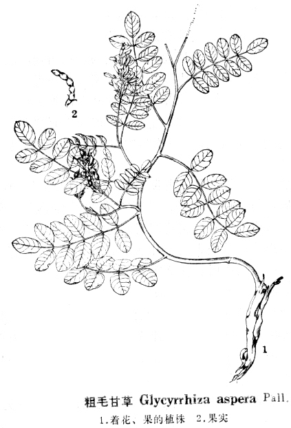 ����鿴��ͼ